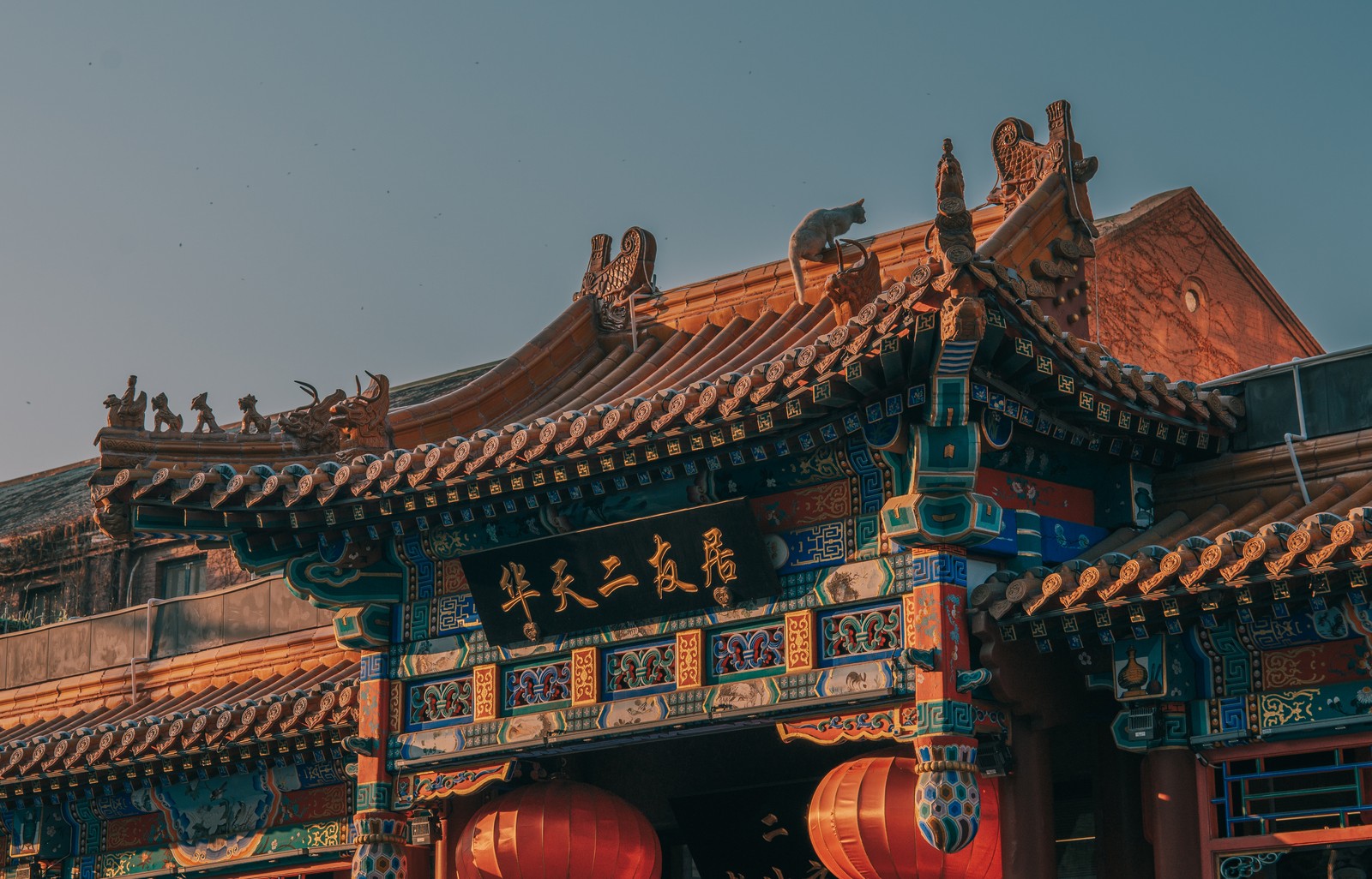 A cat sits among ornamental figures on a sunlit tiled roof above red lanterns.