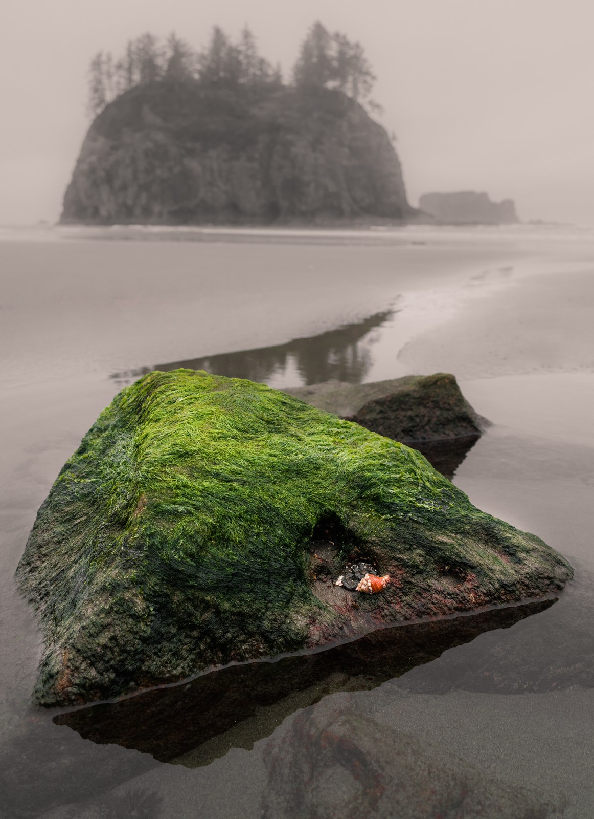 A green foreground rock echoes a distant tree-topped island across wet sand.