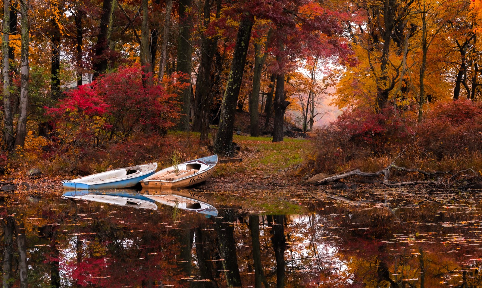Two pale empty boats lie beside a woodland opening and its reflection.