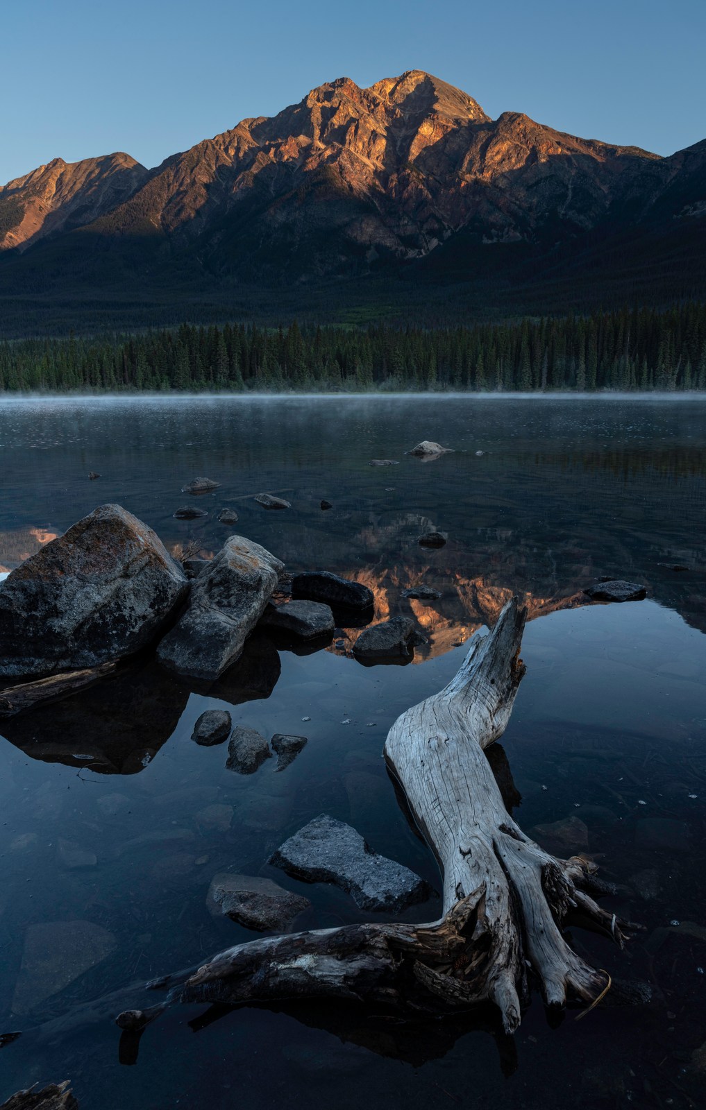 A pale curved log leads from a rocky lakeshore toward illuminated mountains.
