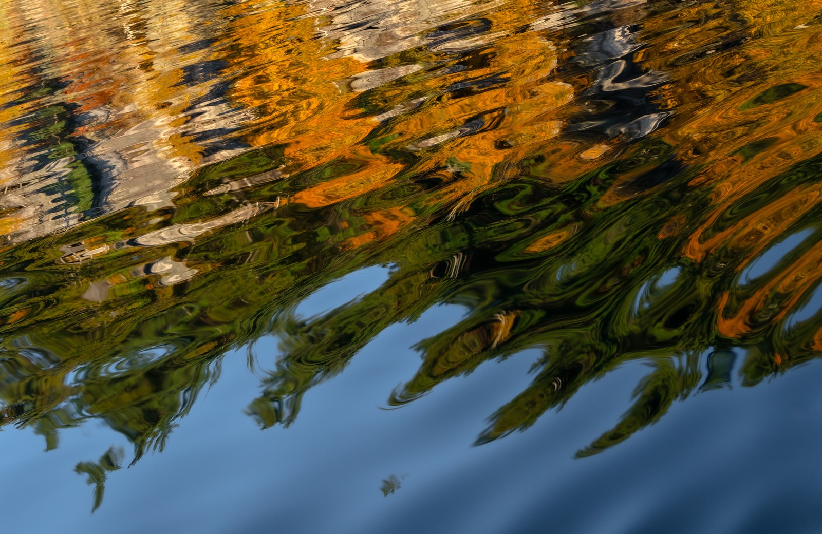 Autumn leaves dissolving into ripples on dark water.