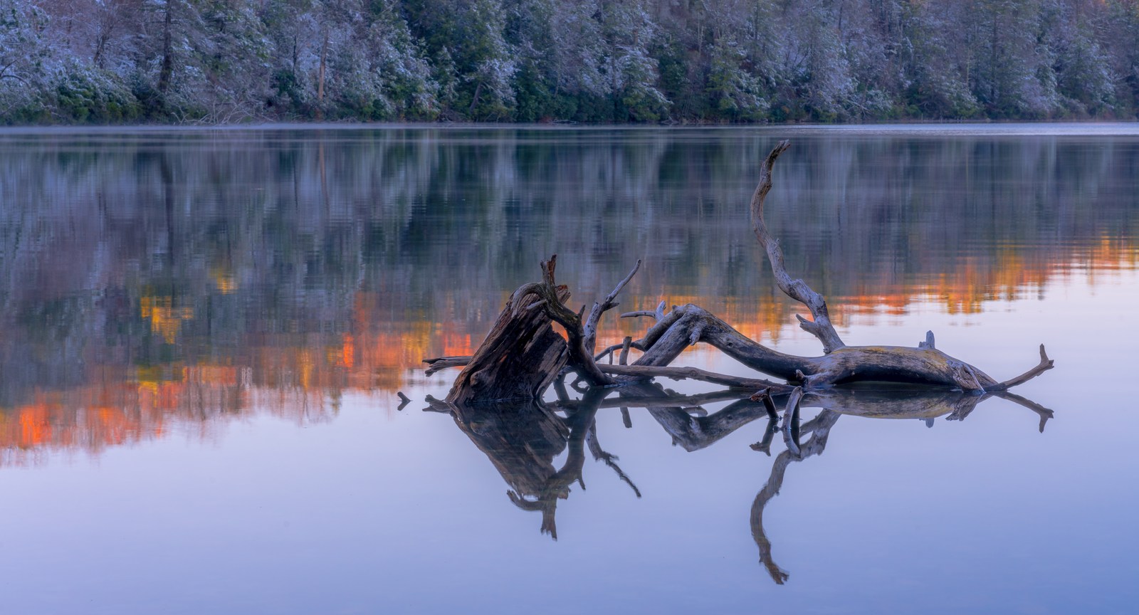Twisted driftwood and its reflection cross an orange band on a still lake.