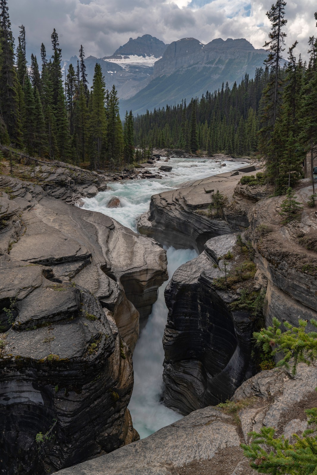 A river runs between close rock walls toward forest and distant peaks.