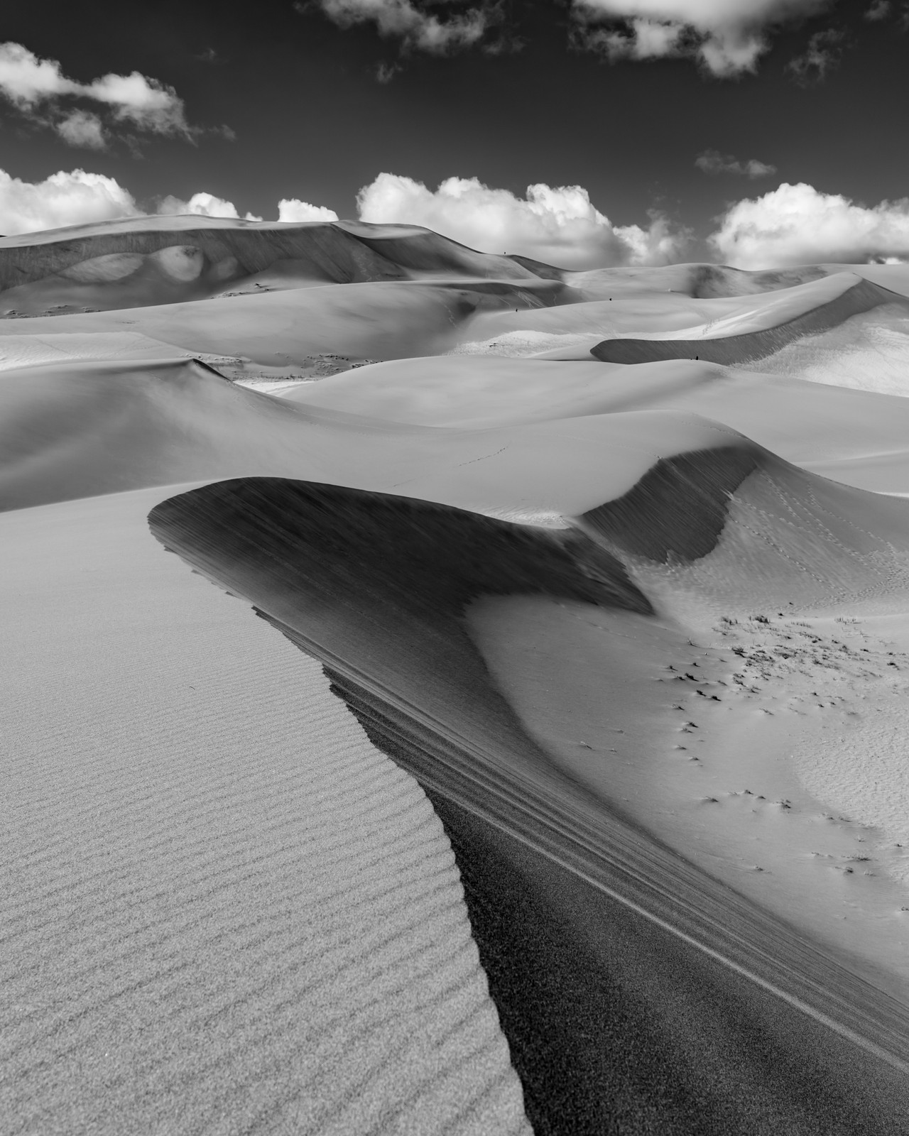 A dark ridge curves through pale sand dunes beneath scattered clouds, in black and white.