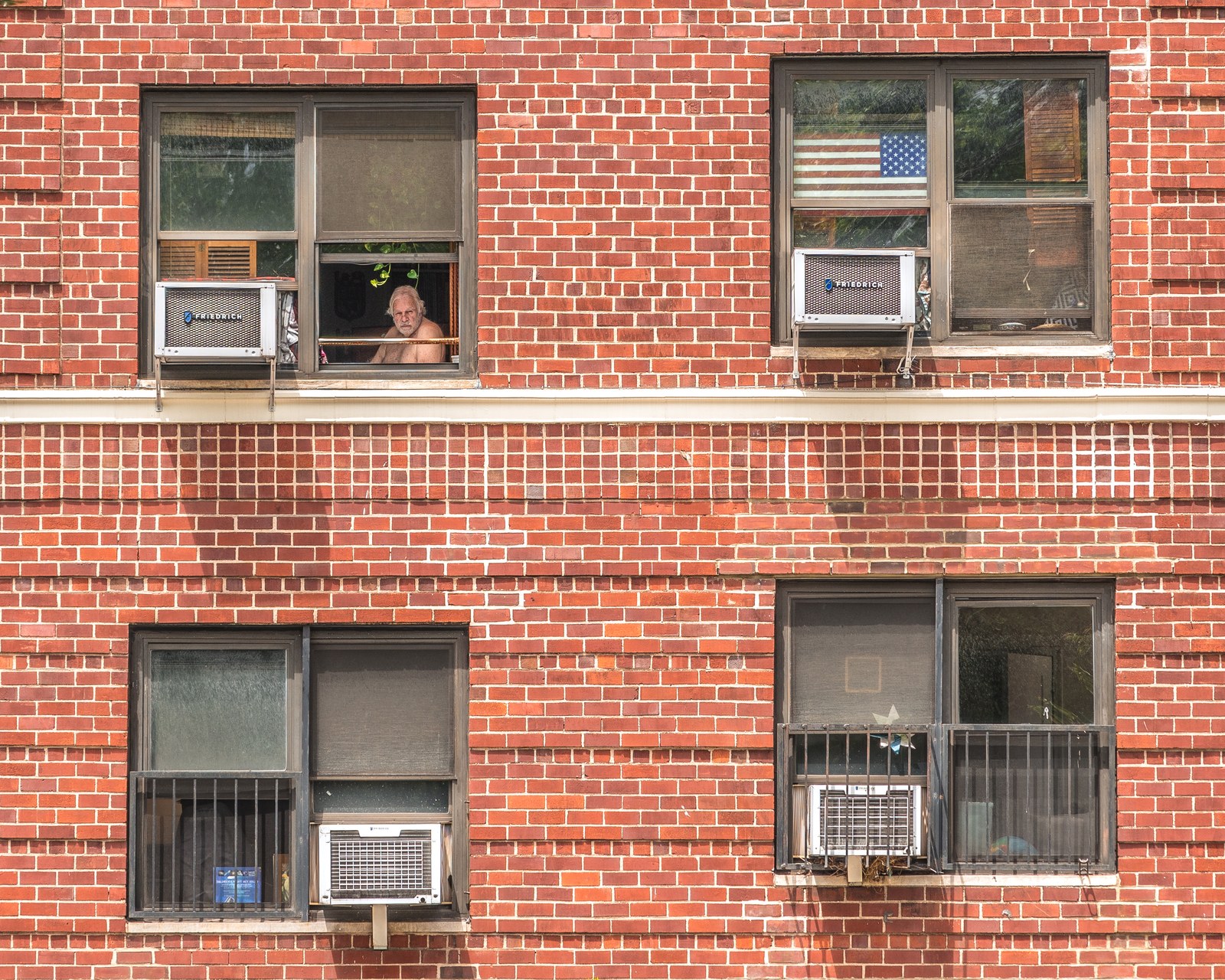 Four windows in a red brick wall; a man looks out of one.